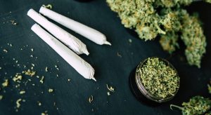1548269609472 budtraderoffersfreeweedtofederalemployees WIDE | News