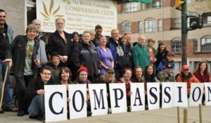 Marijuana Compassion Clubs in Canada How Are They Different 2 | News