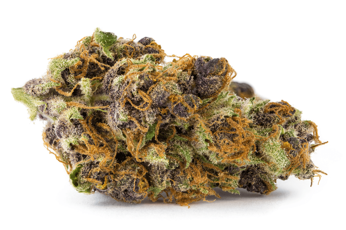 online dispensary canada