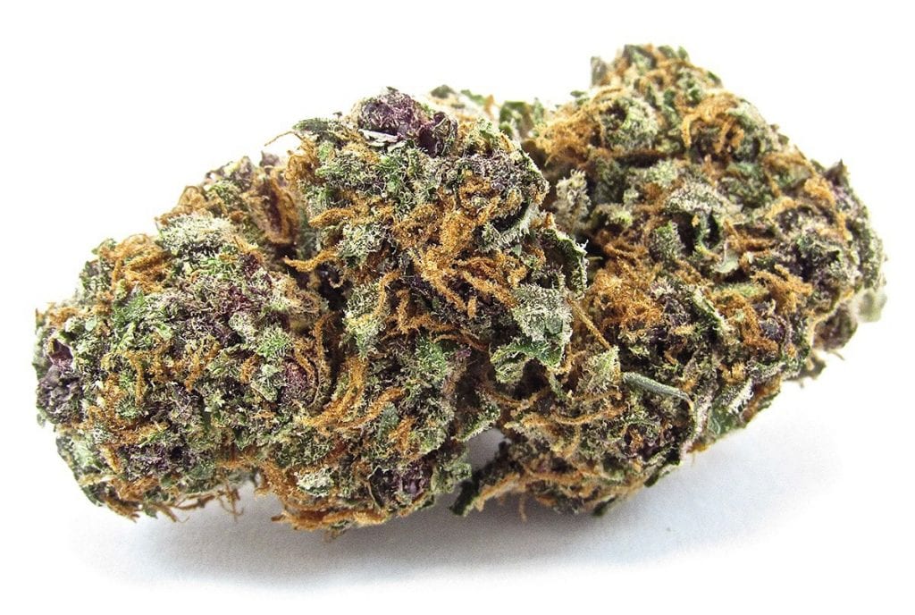 forbidden fruit marijuana strain | News forbidden fruit marijuana strain | News
