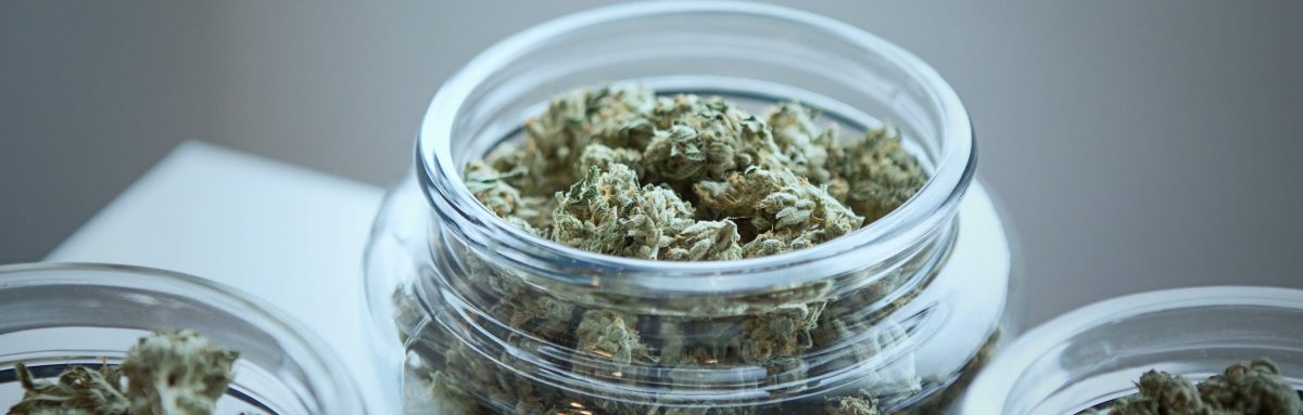 Buy Cannabis Online Dispensary