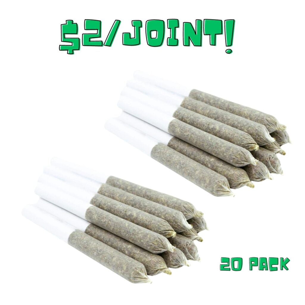 TOONIE DOOBIES (20/Pack) - Updated
