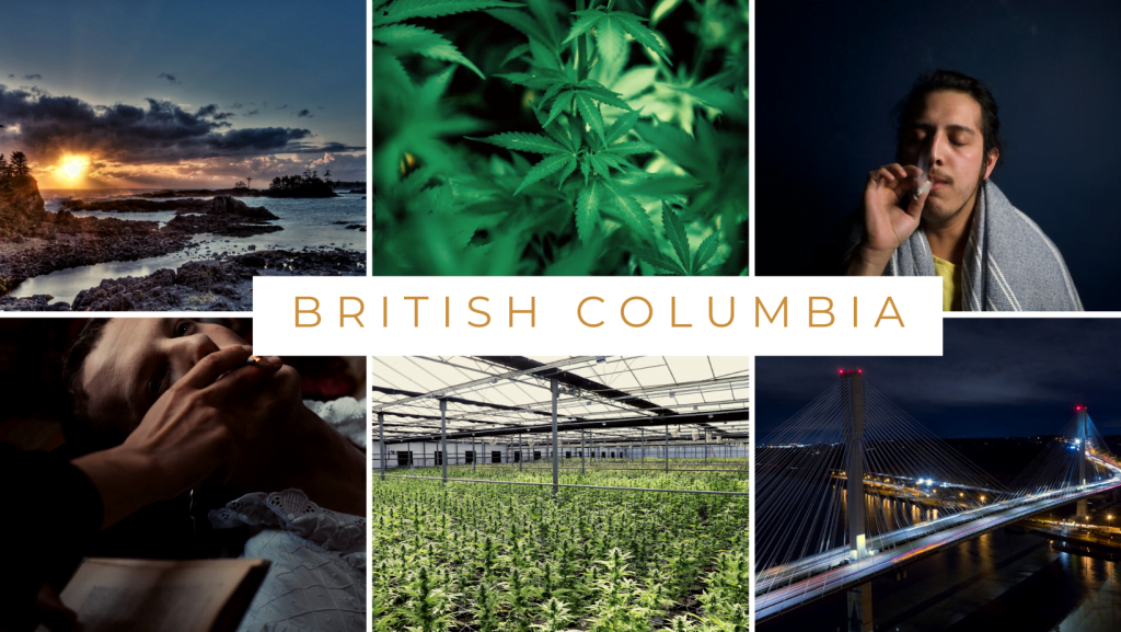 1 | News bc online dispensary