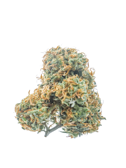 Alberta cannabis Dispensary