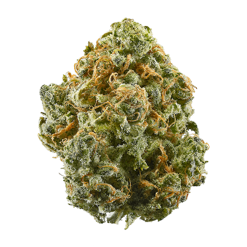 Blue dream, Sativa, for edibles