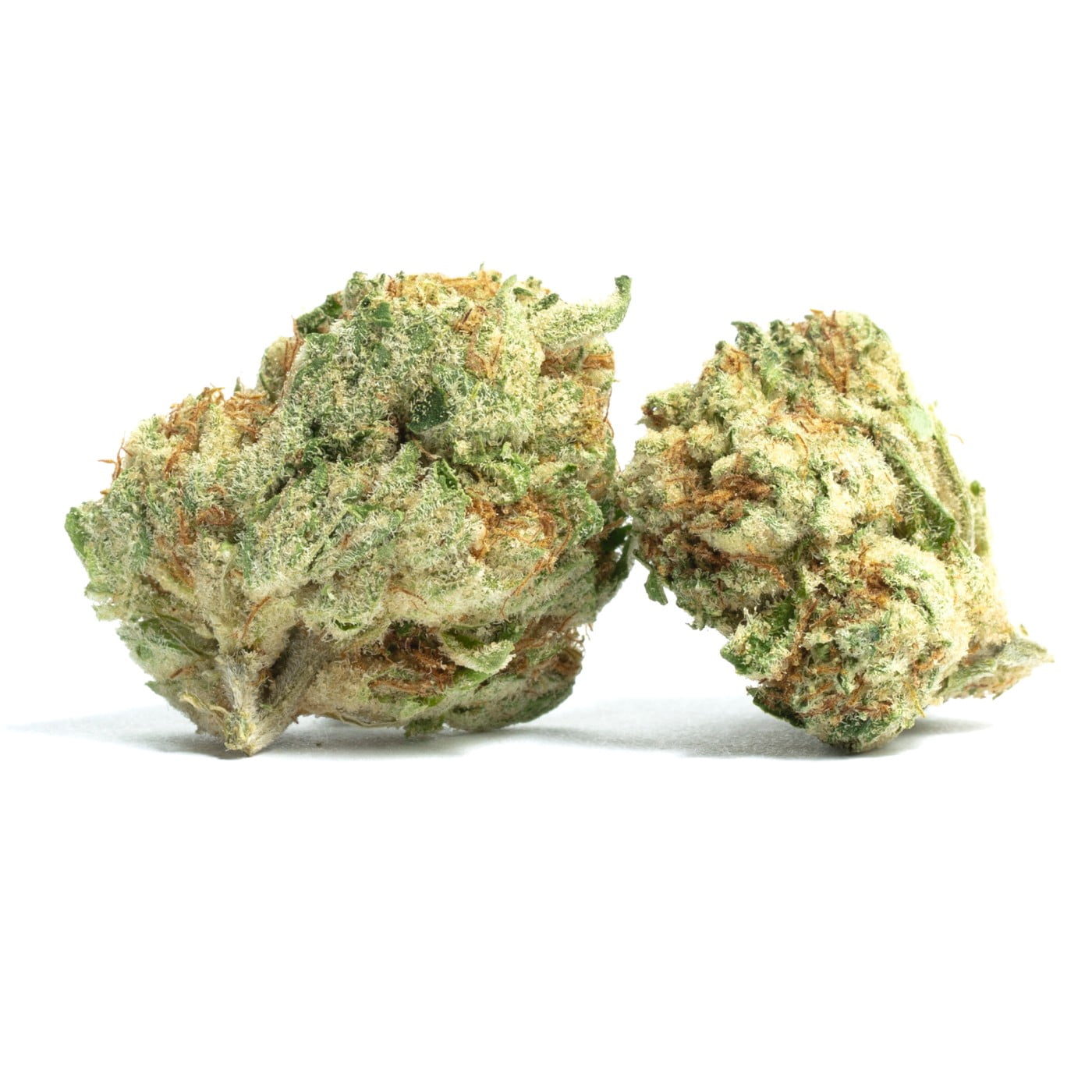 hawaiian strain new | News sativa strain for cannabis edibles