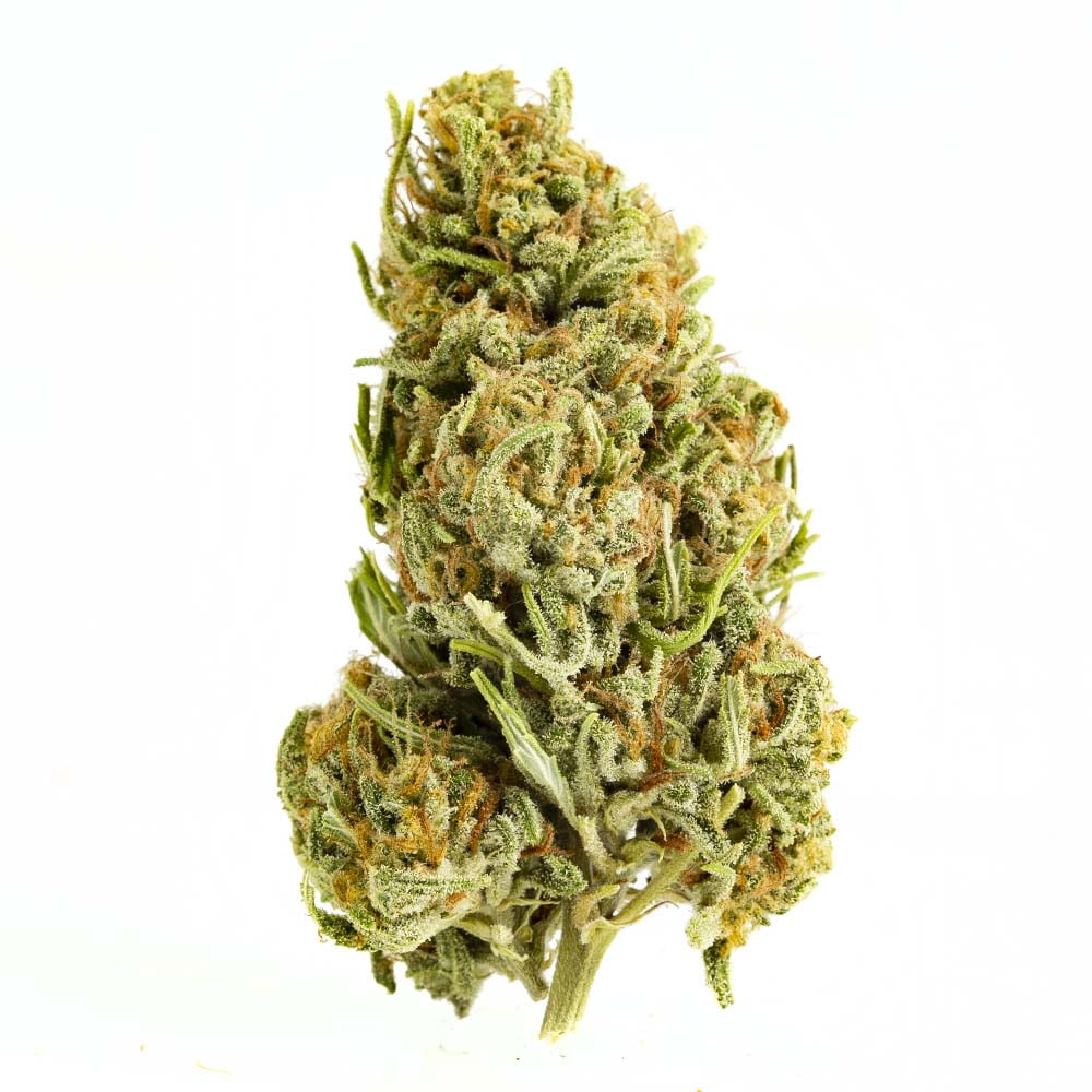 cafe cannabis toronto