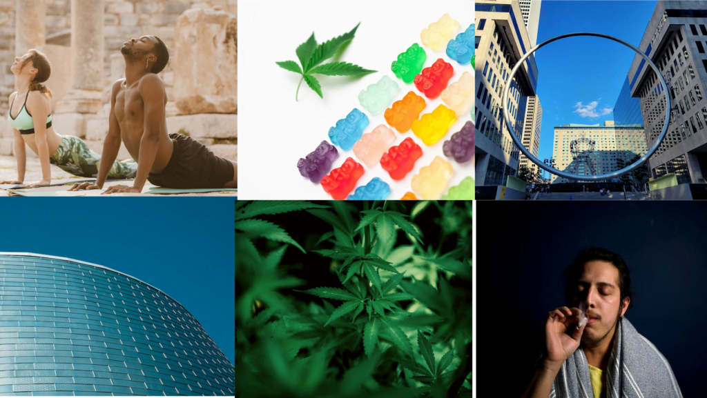 2 2 | News Montreal weed dispensary, online dispensary canada