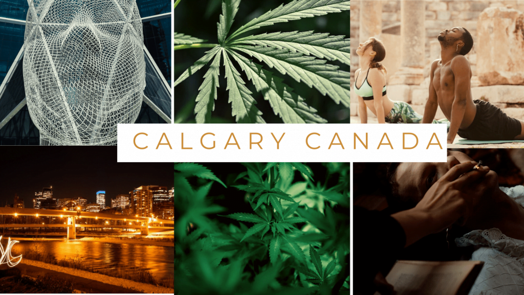 calgary weed, calgary dispensary, medical weed calgary