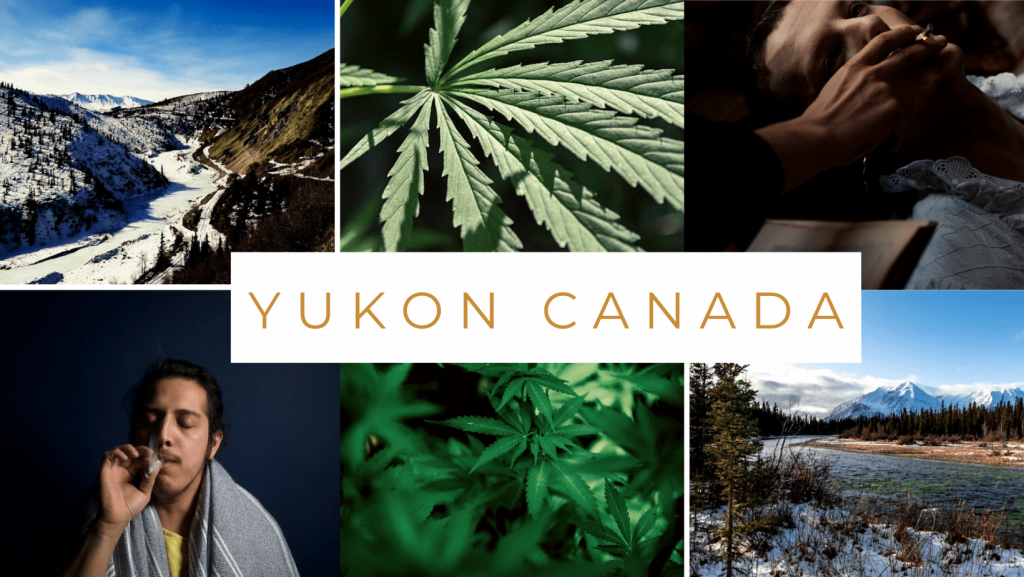 Yukon cover min | News Yukon Cannabis Online