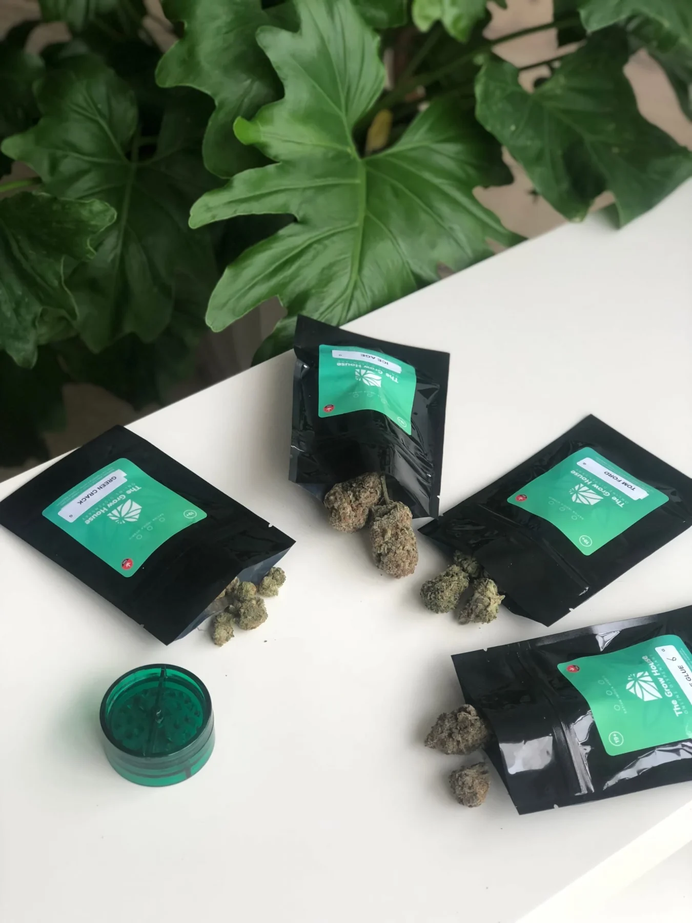 Cannabis Subscription Ottawa, Cannabis gummies, Cannabis Edibles