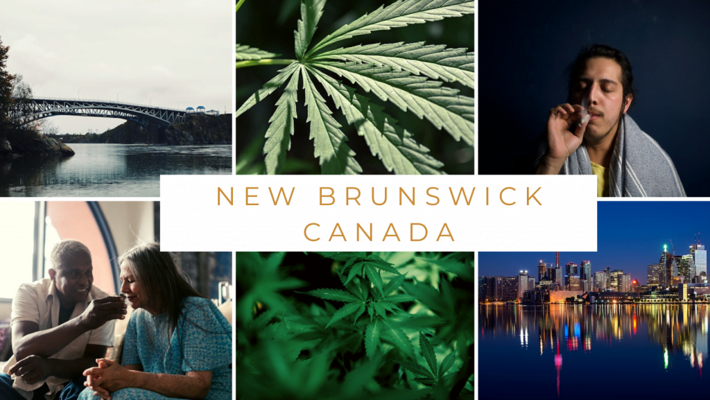New Brunswick Online Cannabis Dispensary