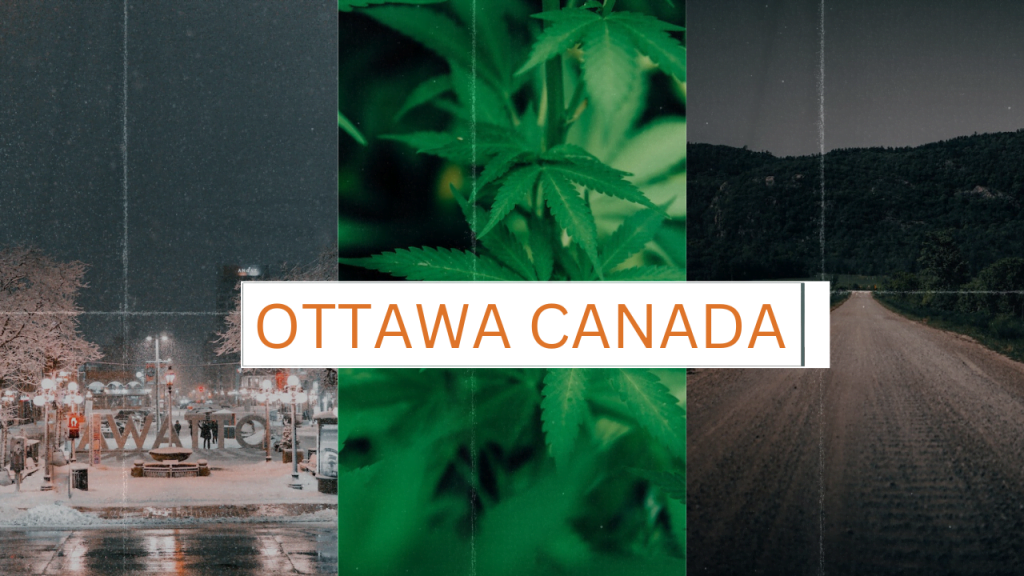 cannabis ottawa dispensary, online dispensary canada