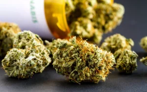 medical marijuana marketing 1024x643 1 | Lessons