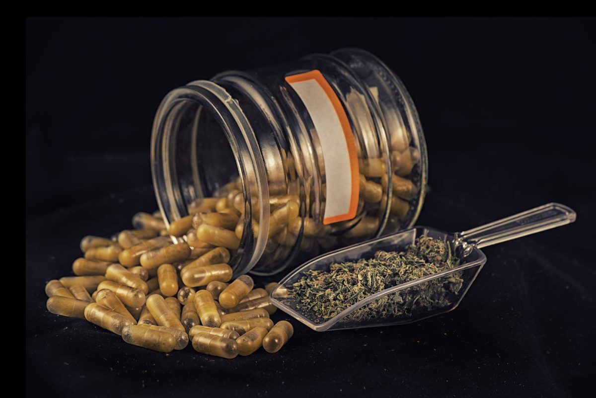 c | body