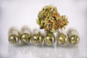 medical marijuana concept dry cannabis bud capsules pills isolated white reflective surface 130933192 | Personalized