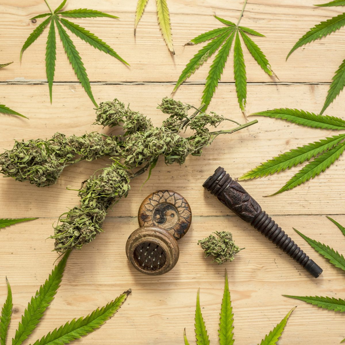 cannabis marketing scaled | Balance