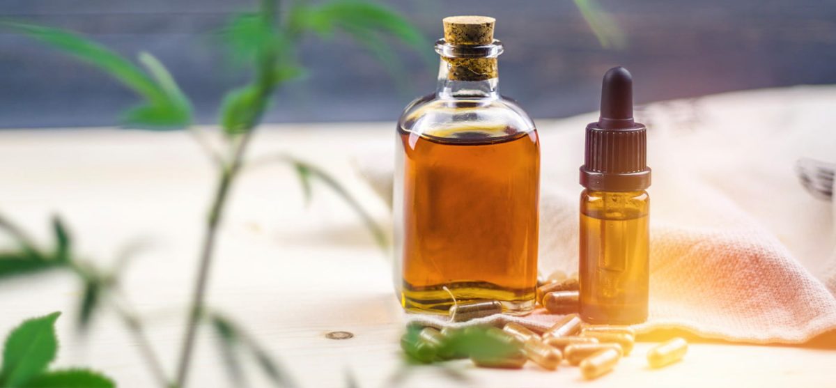 cbd oil for paine2808b | evolution