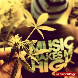 stoner ganja pothead reefer 25 | Interaction