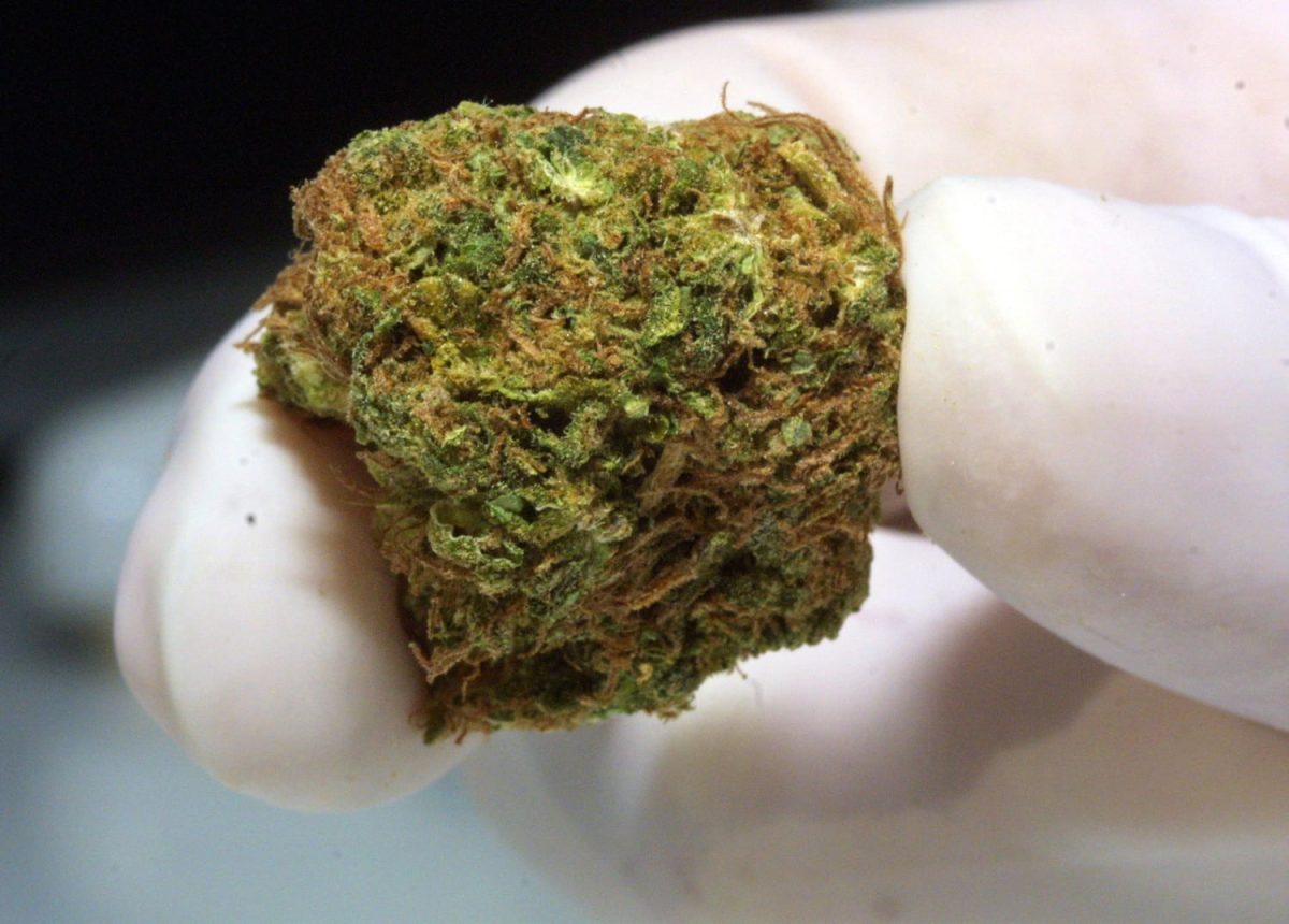 698723 cannabis | responsibility
