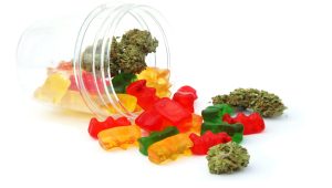 edibles | Canada