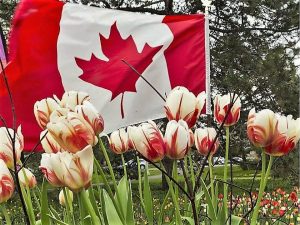 58331c2e987811568112fb8aab2f0755 | Canada
