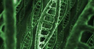 ddd | Genetics