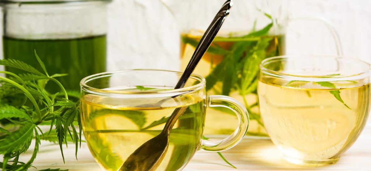 cbd tea | Genetics