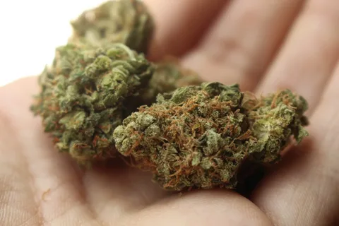 Cannabis Hash Types