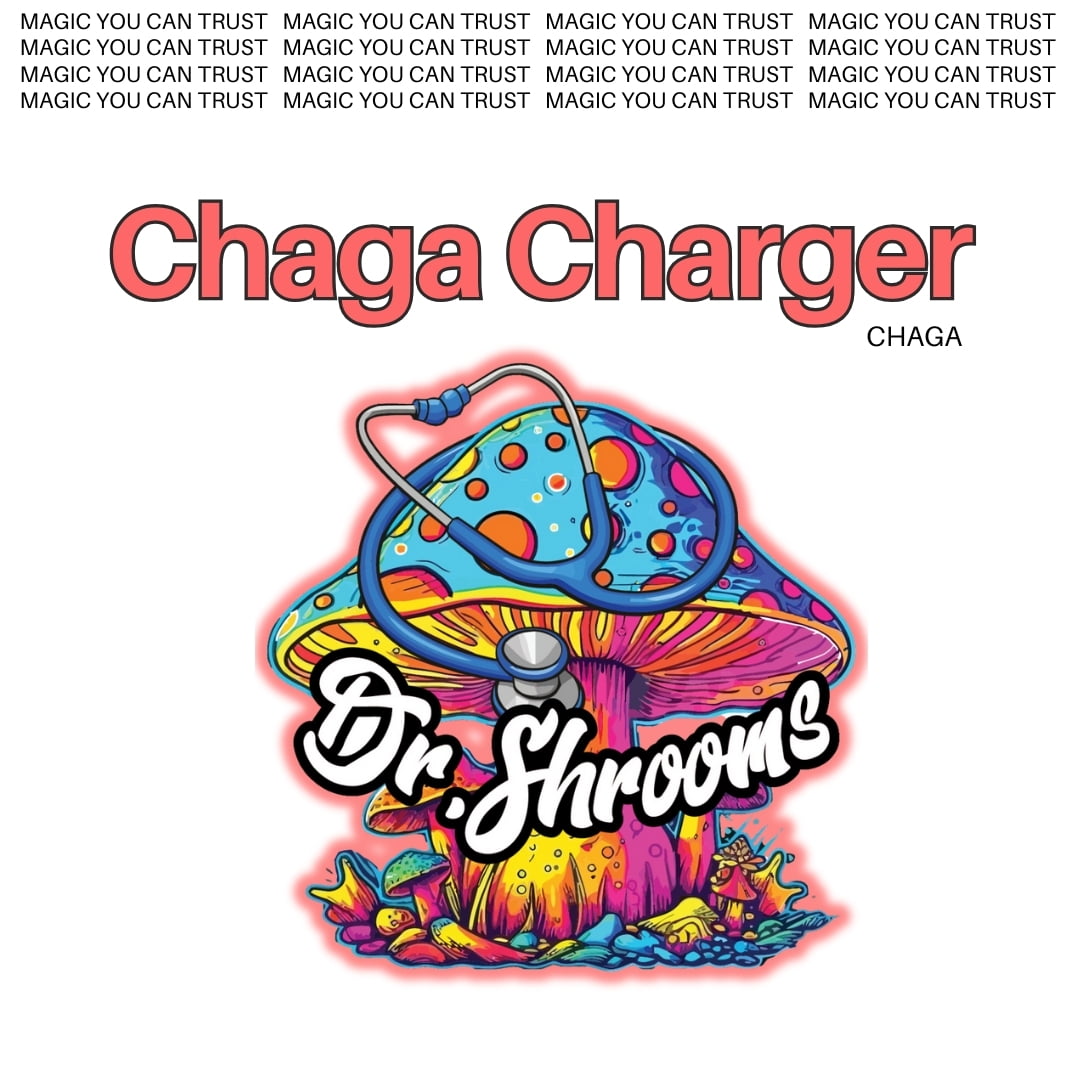 Chaga Charger Capsules – Dr.Shrooms