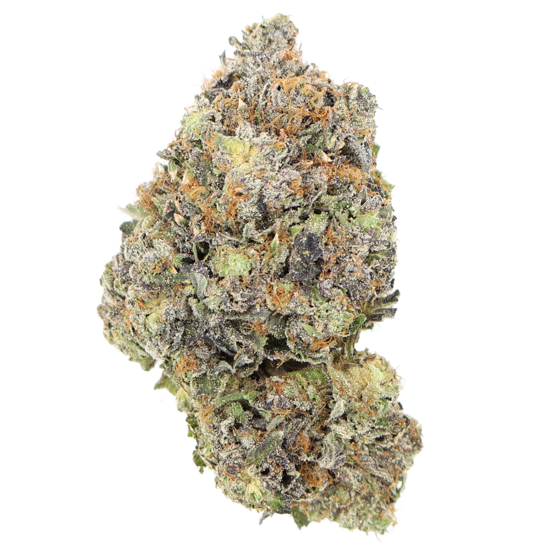 AAAA Slurricane
