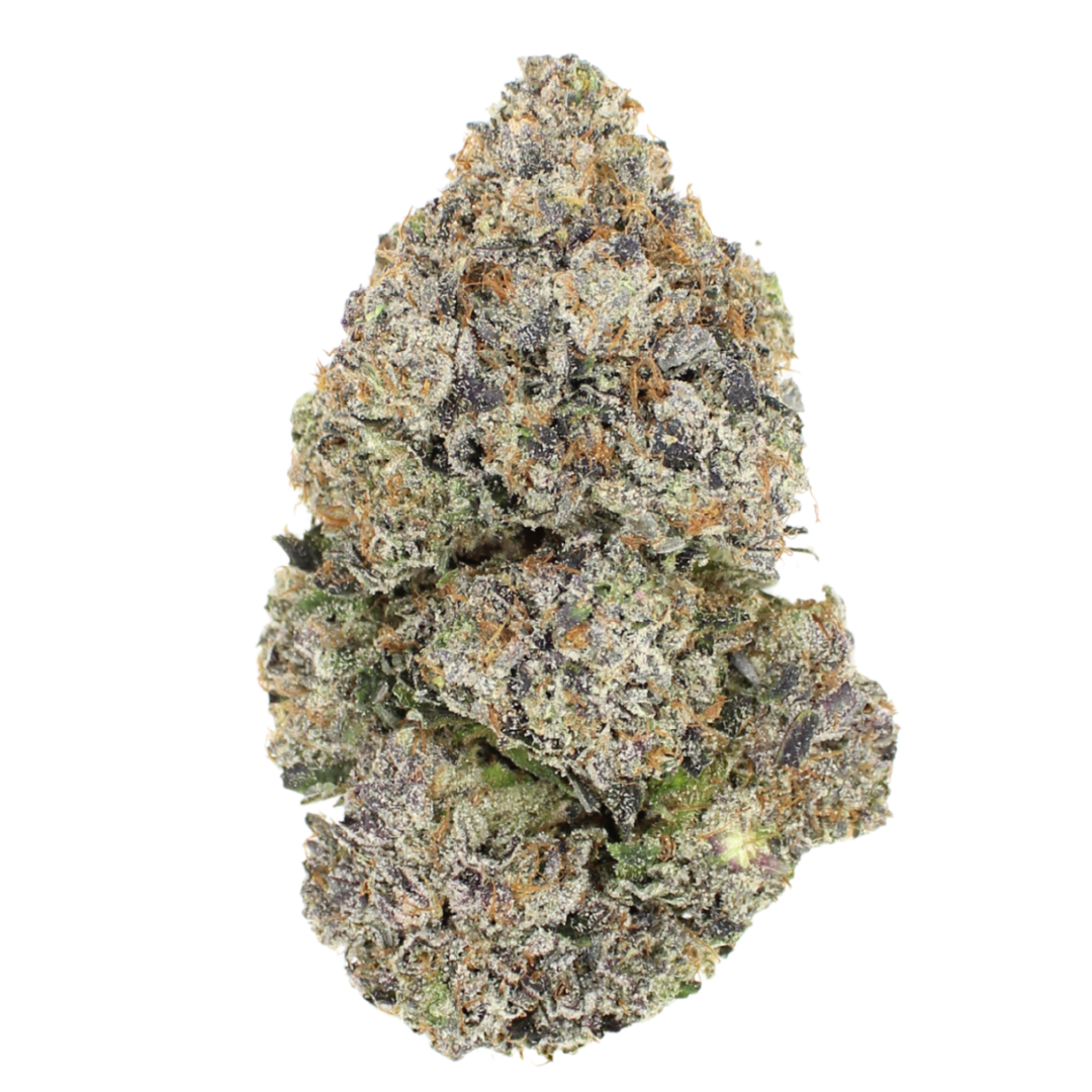 AAAA+ Lizard By Bubba Kings 😴