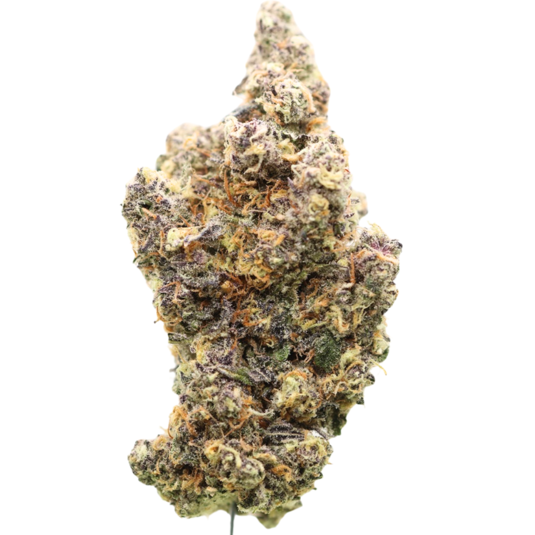 🏆 #1 AAAAA Oklahoma Coma – Karma Cup Winner
